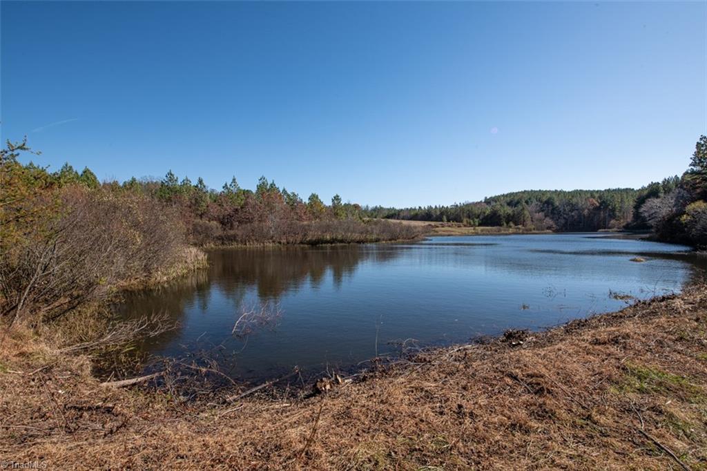 property viewer photo 5