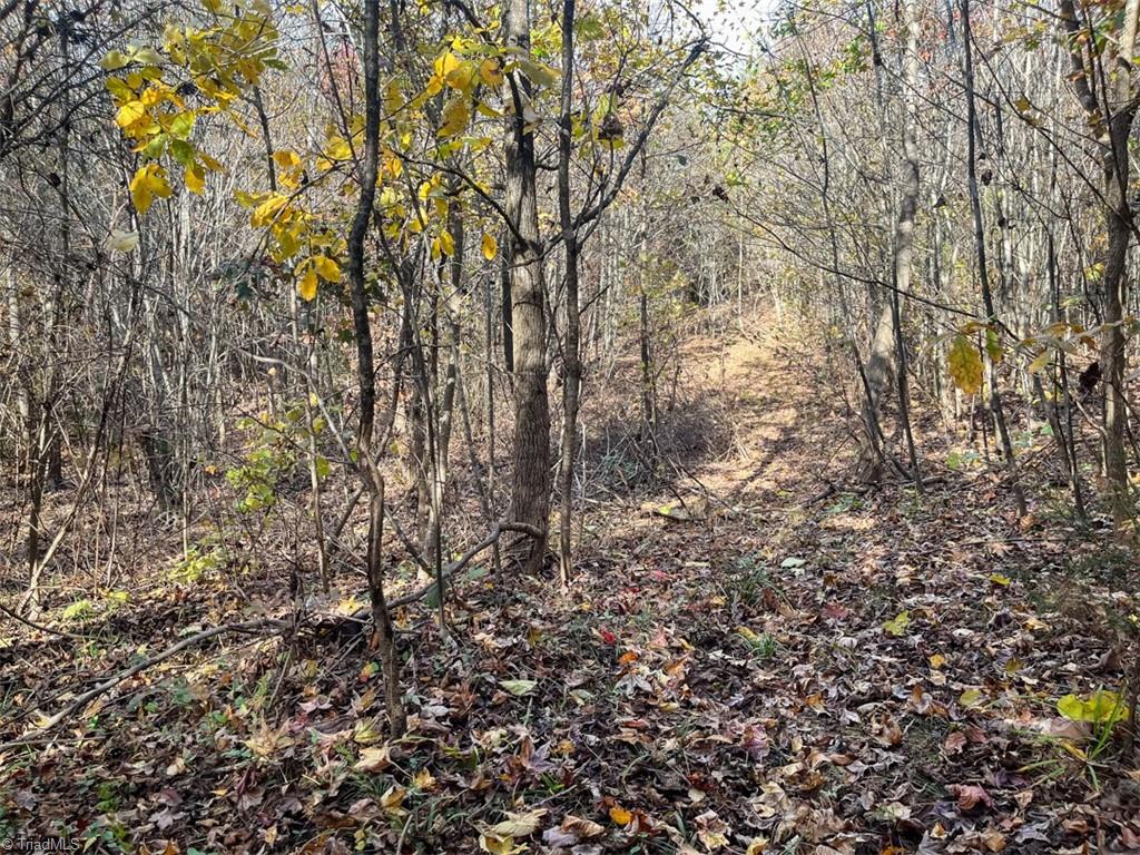 property viewer photo 22