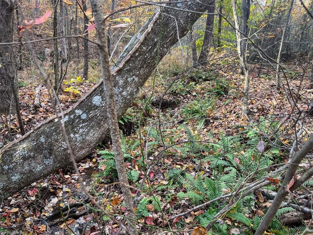 property viewer photo 9