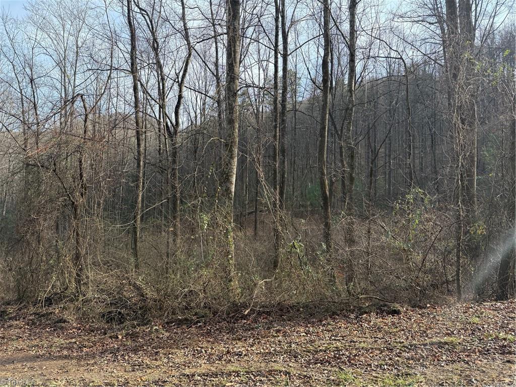 property viewer photo 2