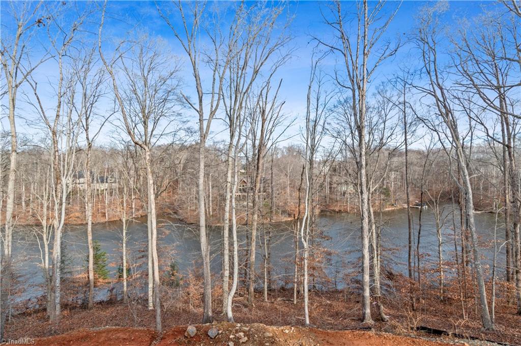 property viewer photo 2