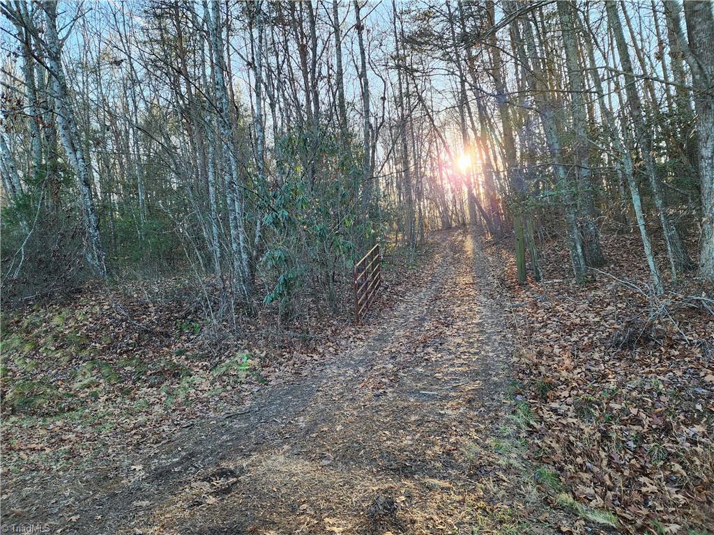 main property photo 48