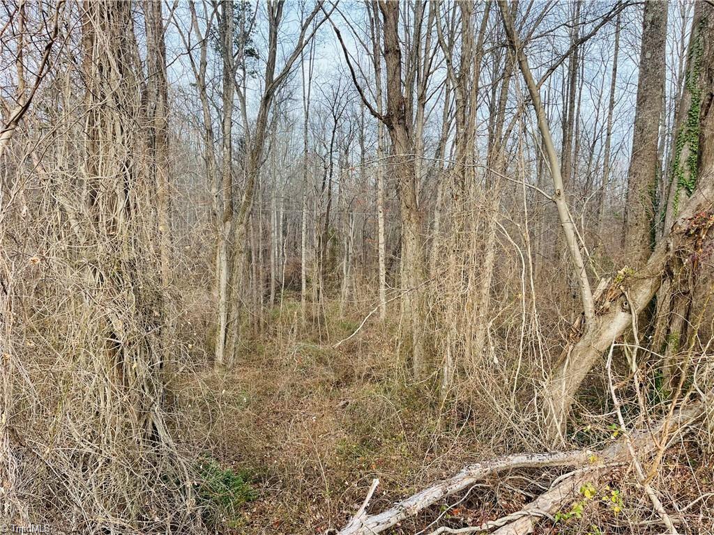 property viewer photo 2