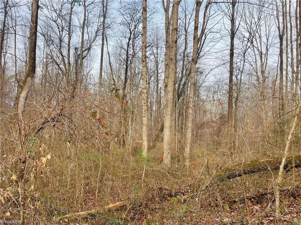 property viewer photo 3