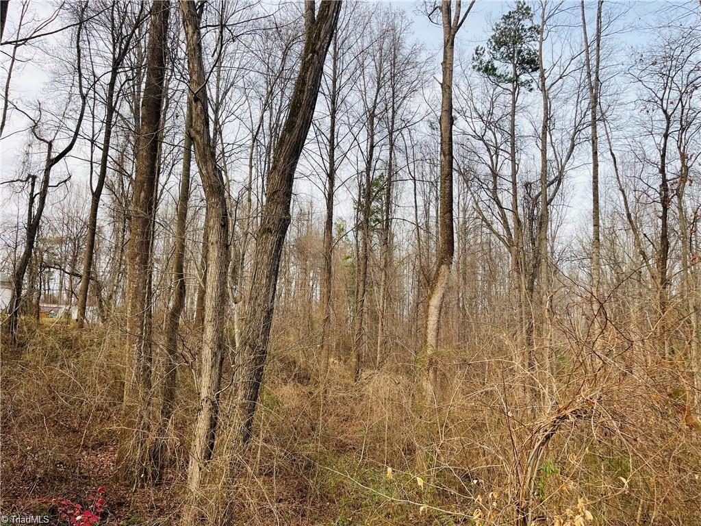 property viewer photo 4