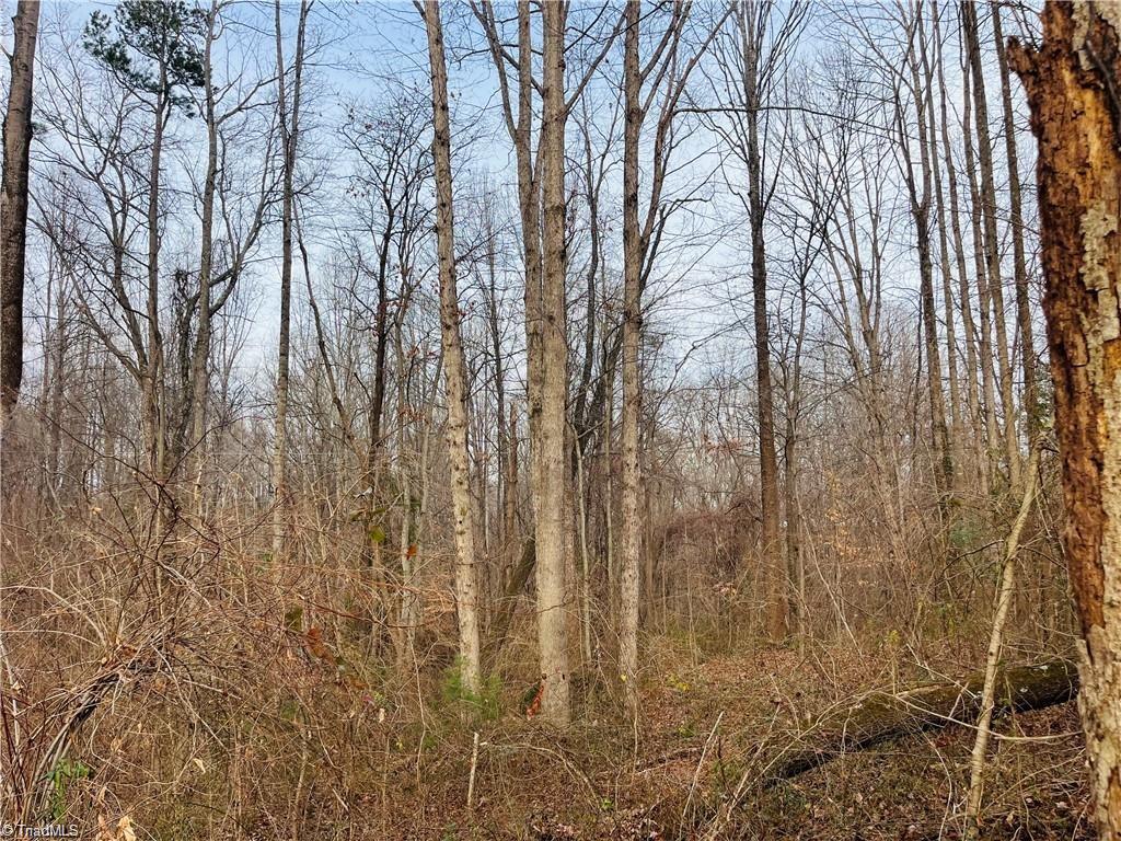 property viewer photo 5