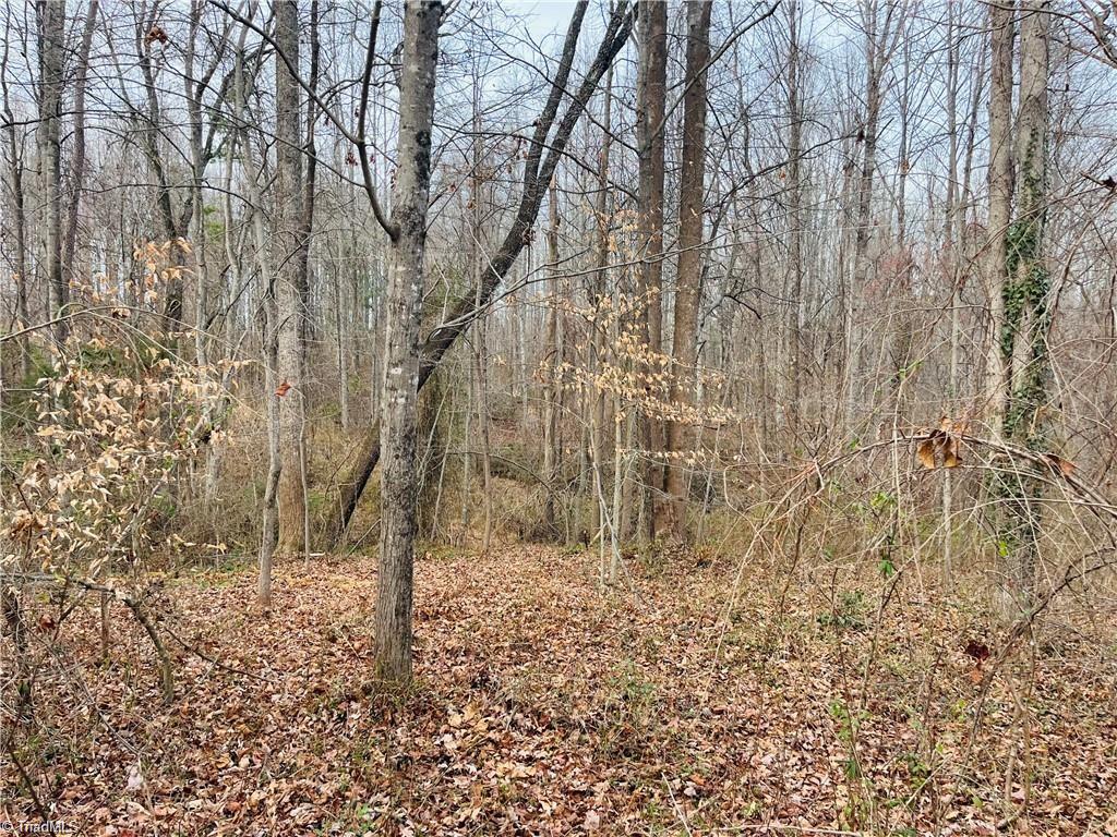 property viewer photo 6