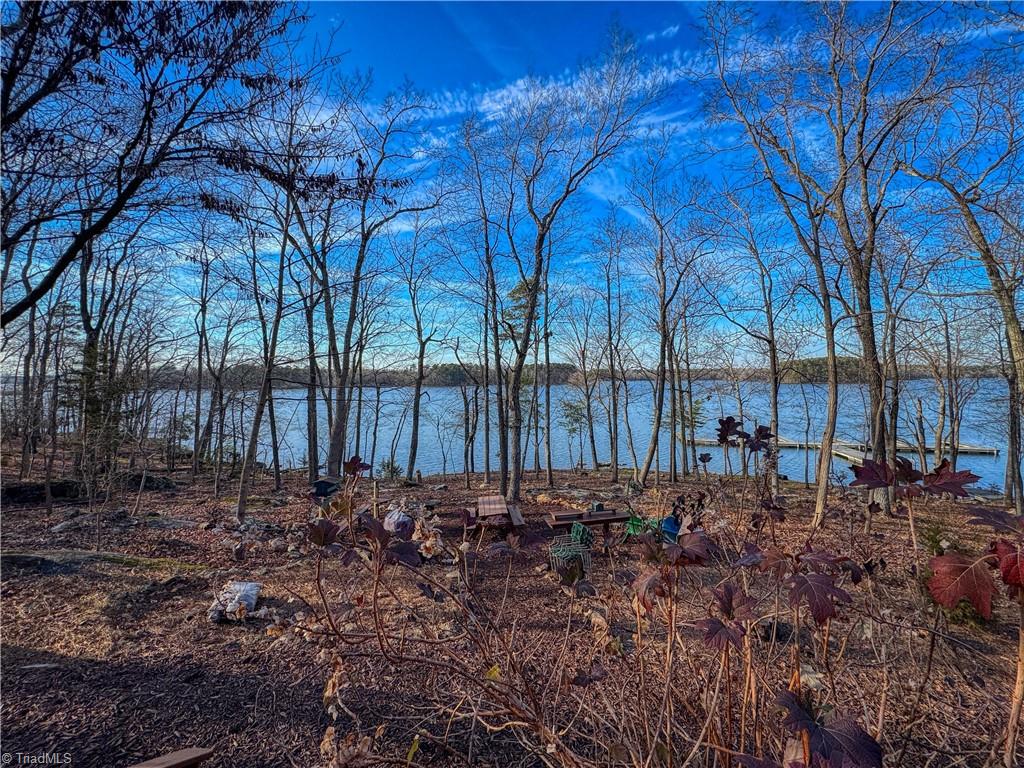 property viewer photo 5