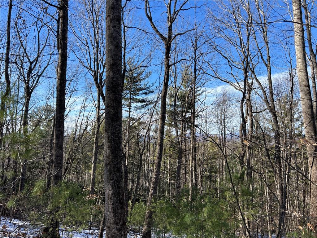 property viewer photo 1