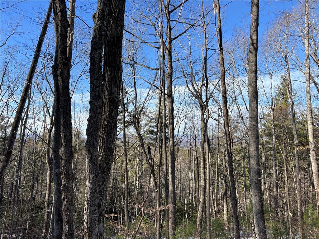 property viewer photo 2
