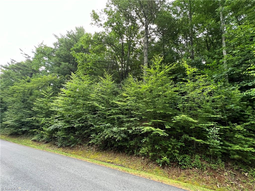 property viewer photo 4