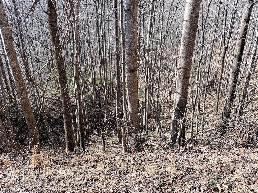 property viewer photo 3