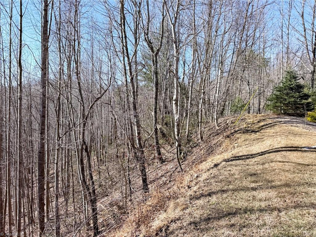 property viewer photo 6