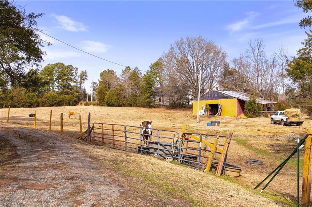 main property photo 41