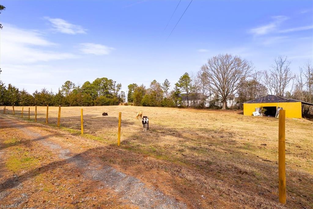 main property photo 42