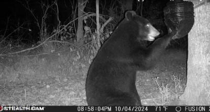 property viewer photo 12