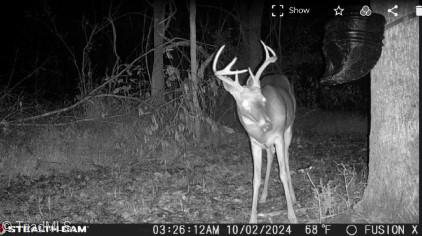 property viewer photo 13
