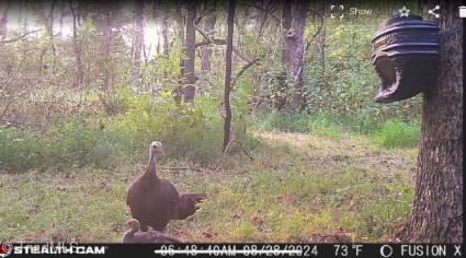 property viewer photo 14