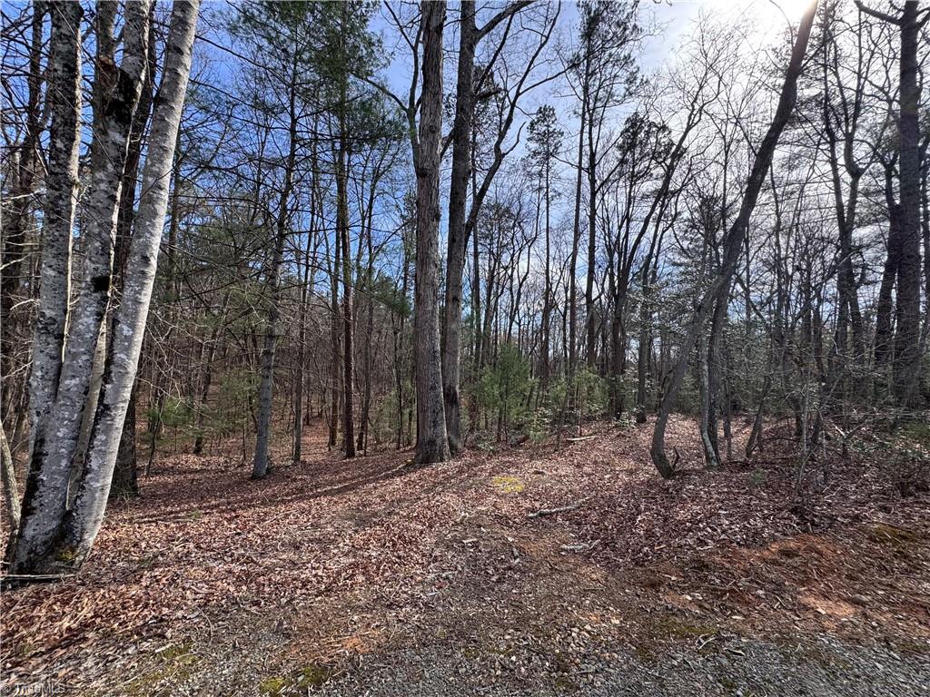 property viewer photo 2