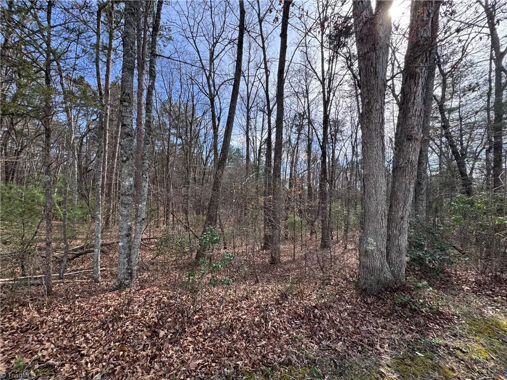 property viewer photo 3
