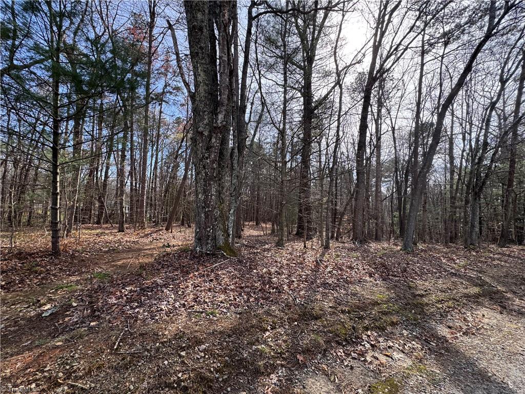 property viewer photo 4