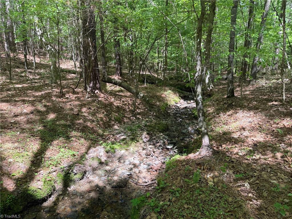 property viewer photo 1