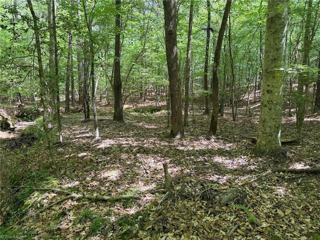property viewer photo 2