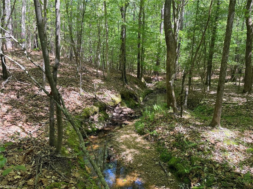property viewer photo 3