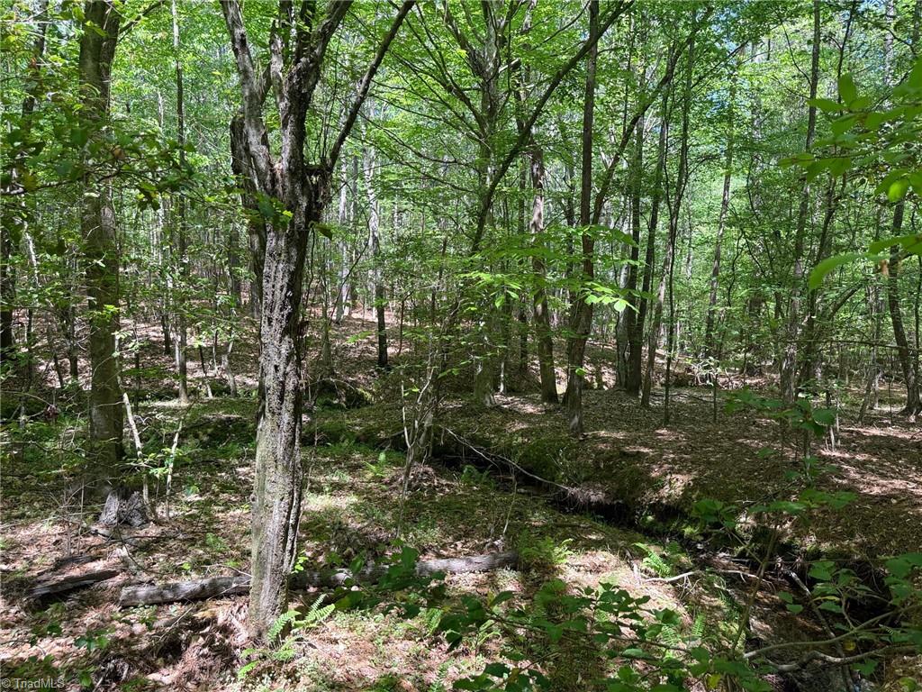 property viewer photo 4
