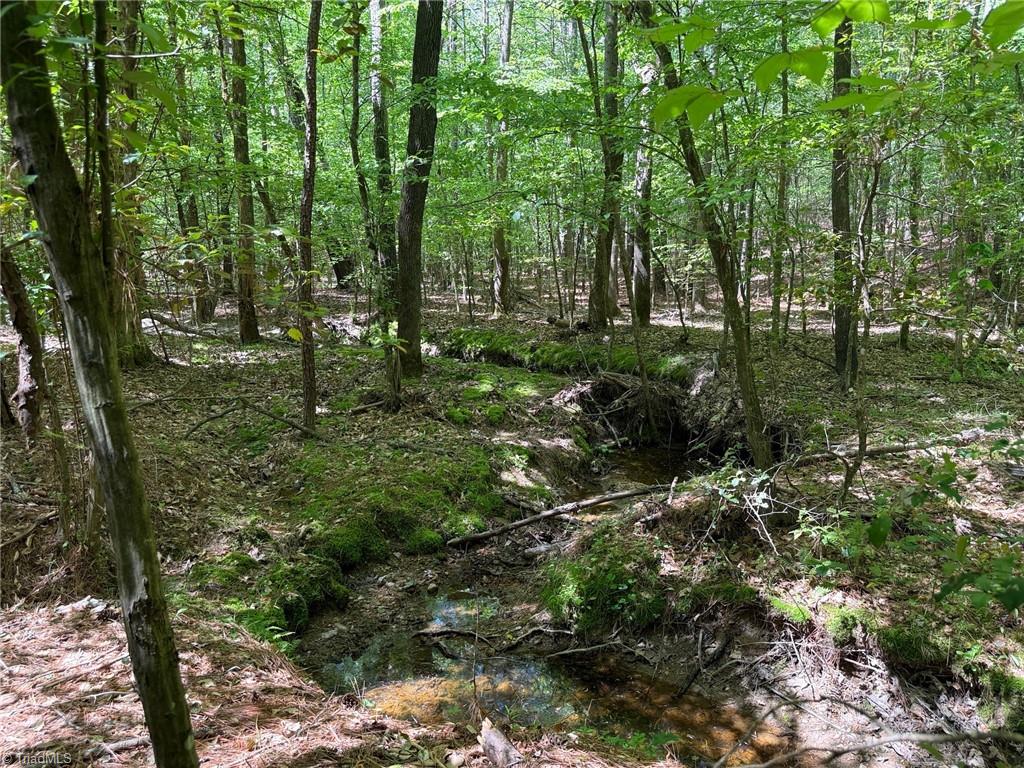 property viewer photo 5