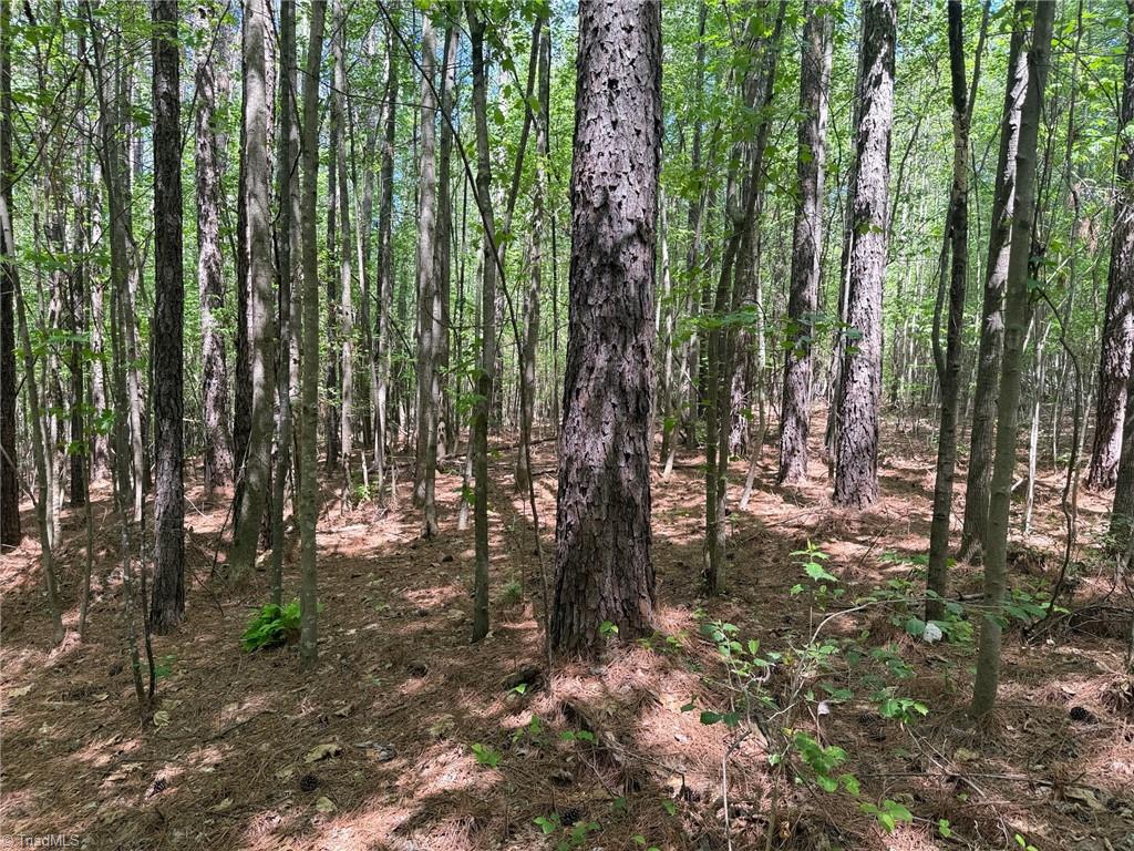 property viewer photo 6