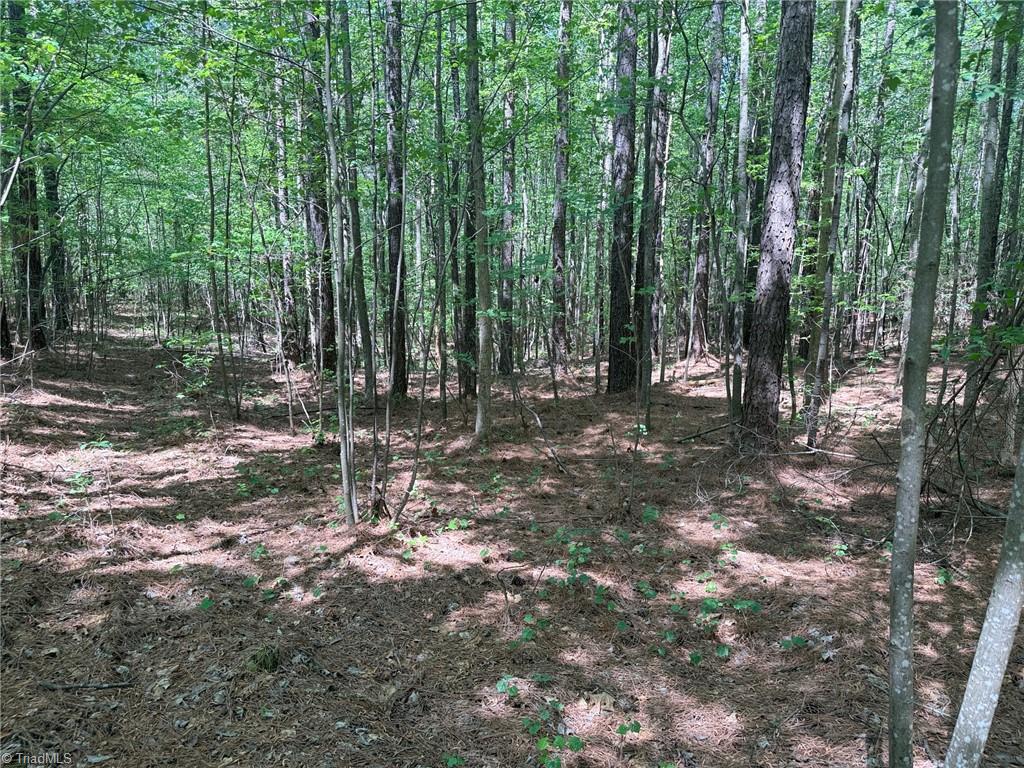 property viewer photo 7