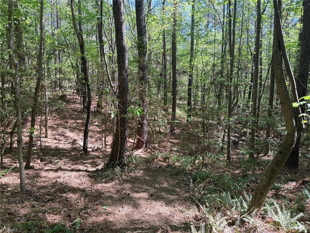 property viewer photo 8