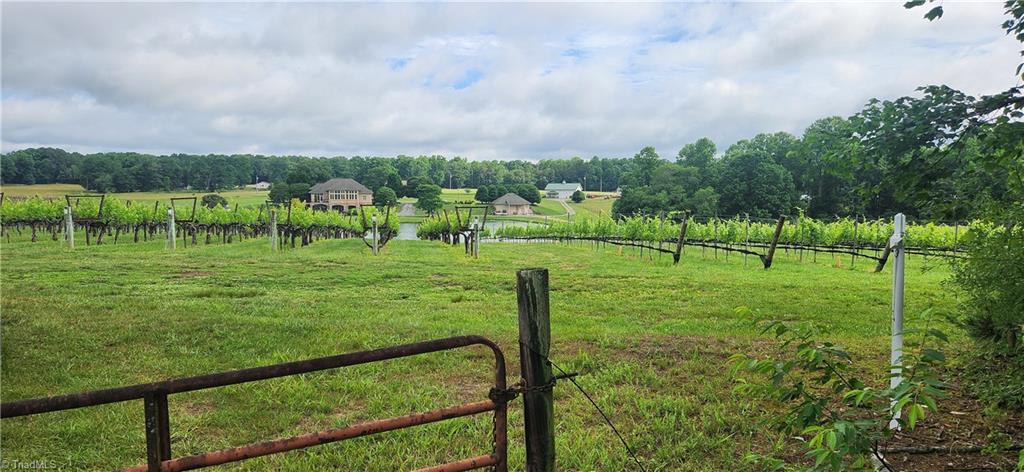 main property photo 37