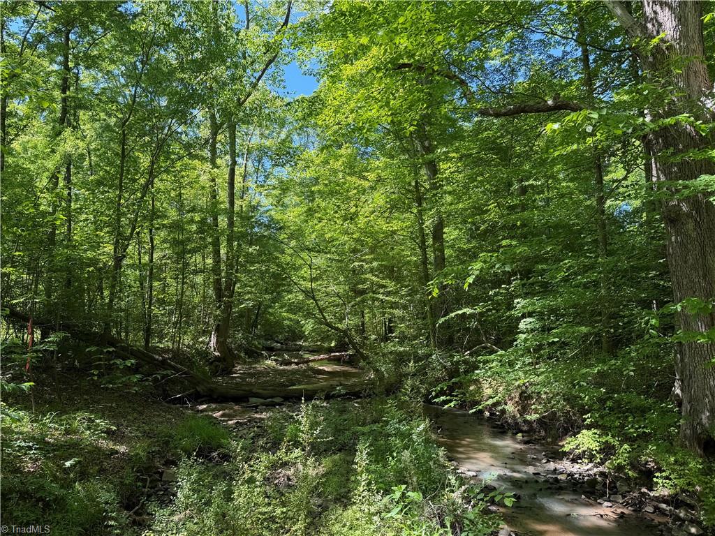 property viewer photo 2