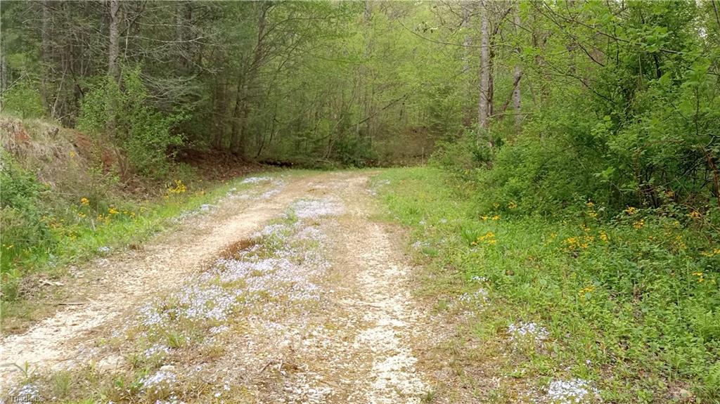 main property photo 10