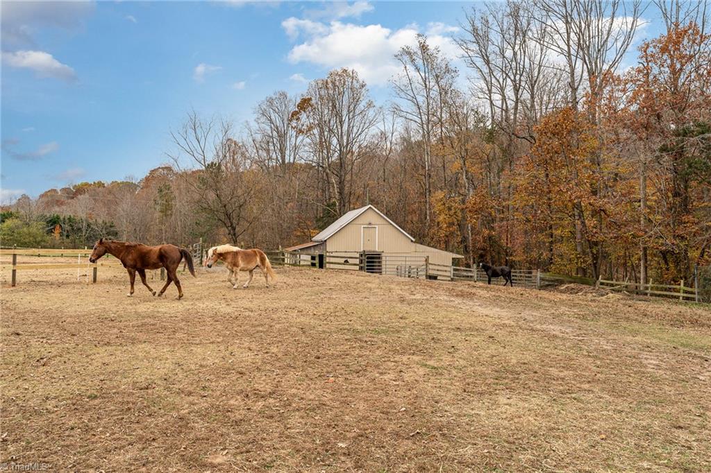 main property photo 39