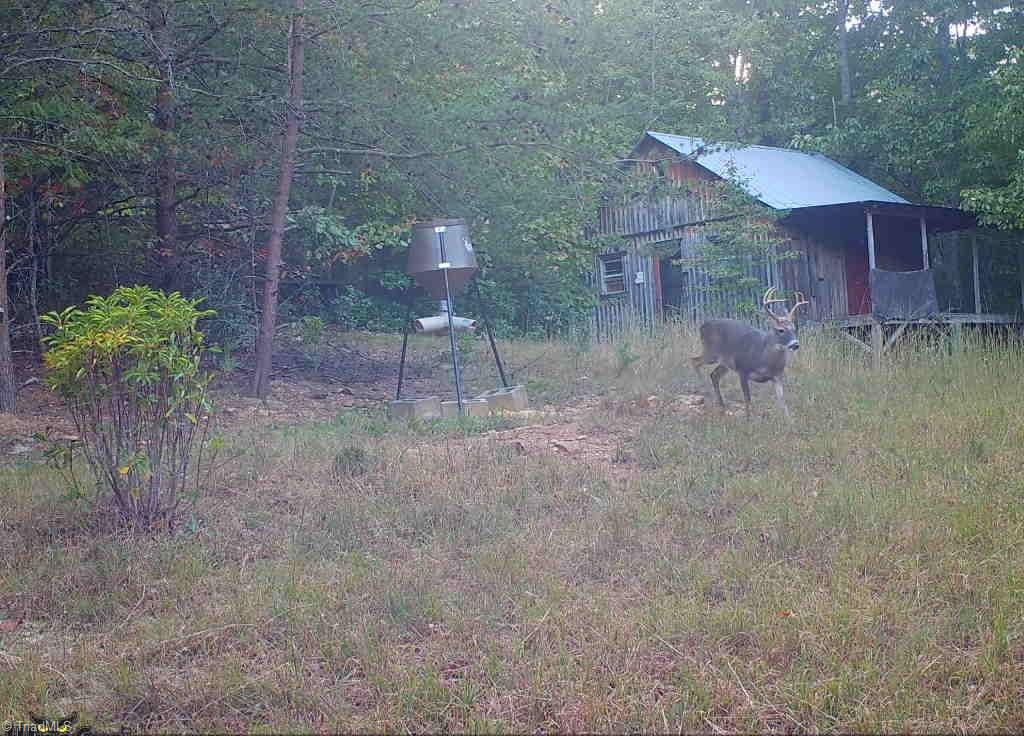 main property photo 37