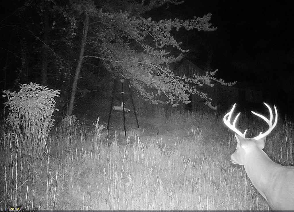 main property photo 38