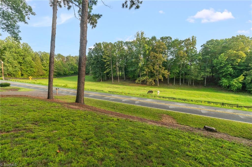 main property photo 41