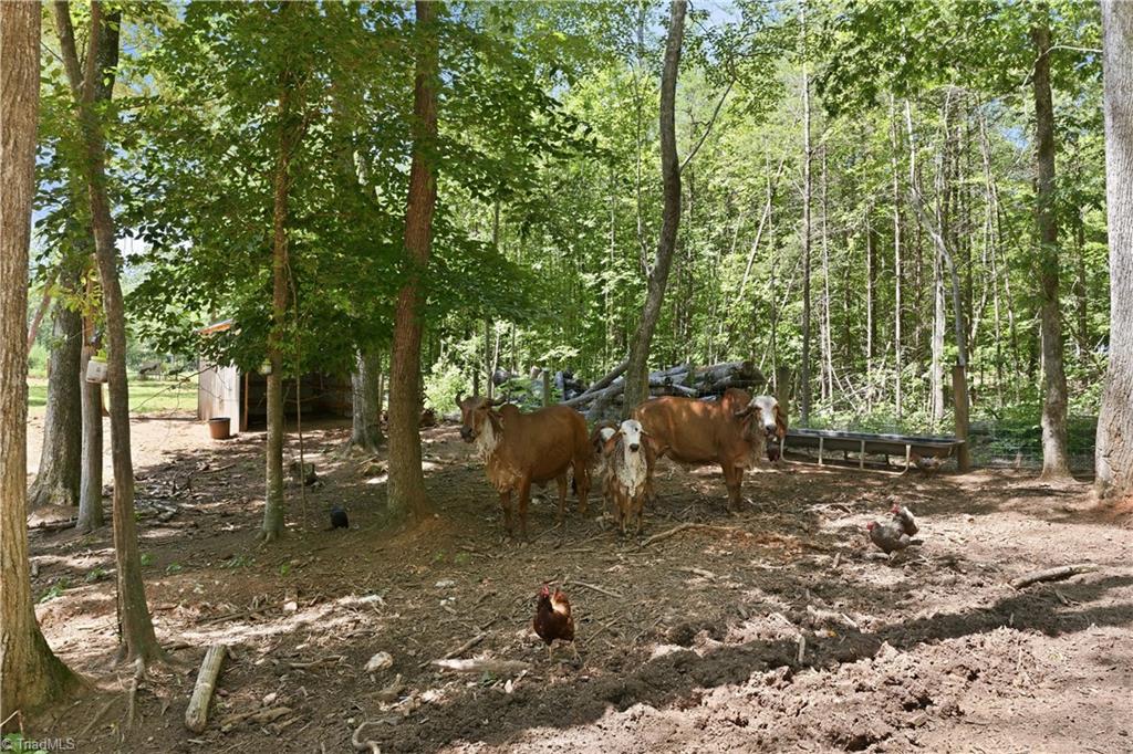 main property photo 37