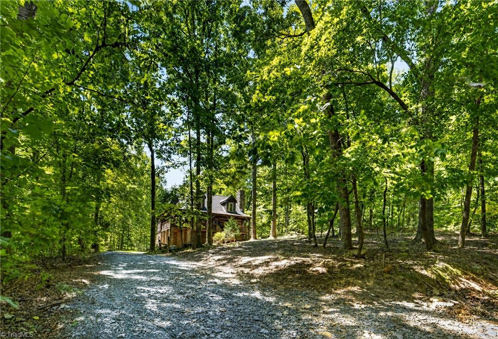 main property photo 42