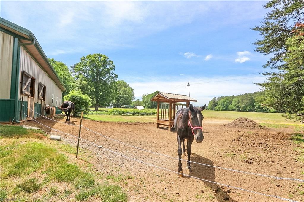 main property photo 43