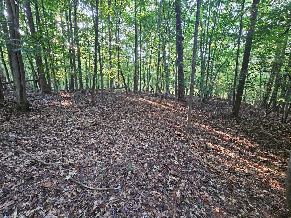 main property photo 36