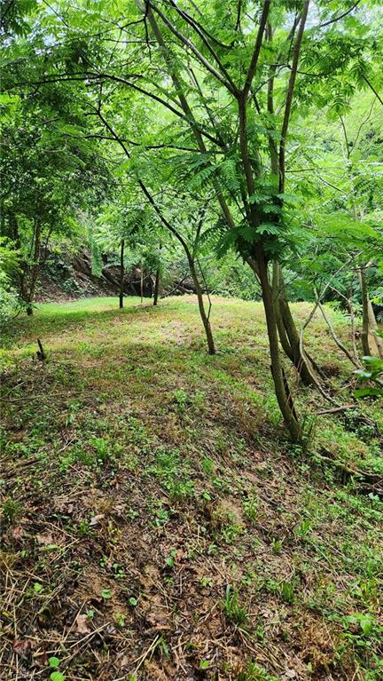 main property photo 46