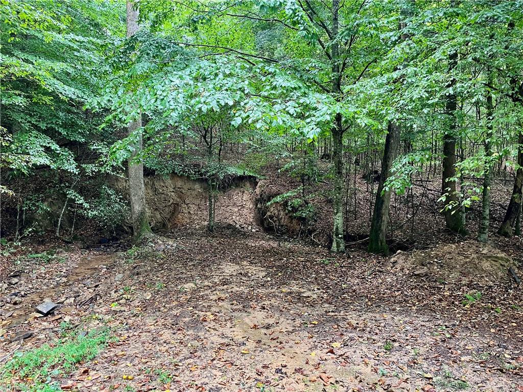 main property photo 49