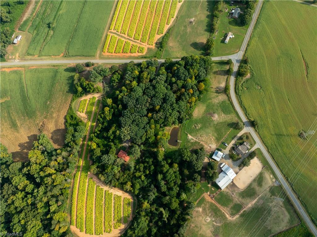 main property photo 43