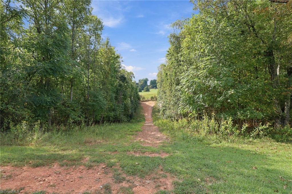 main property photo 48