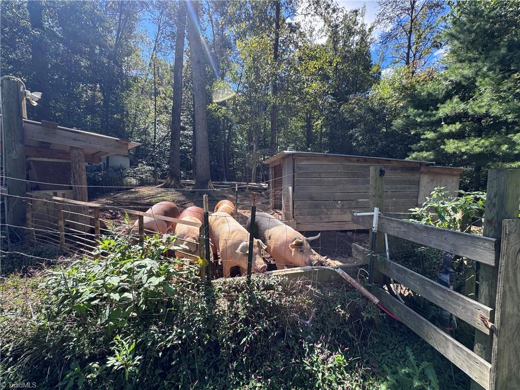 main property photo 41