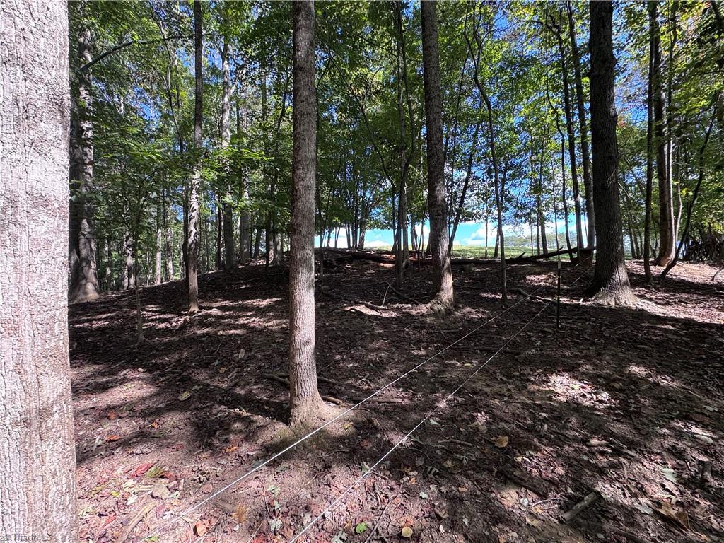 main property photo 43